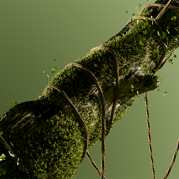 Cover image for Trunk